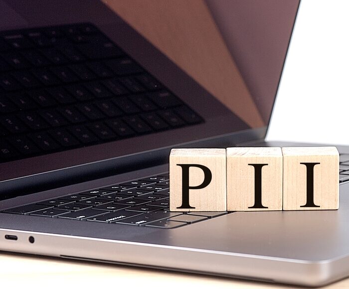 wooden bloks spelling PII on a laptop